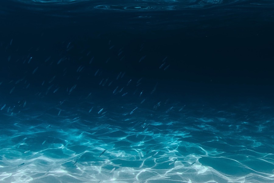 水族科学与技术专业介绍_本科_农学