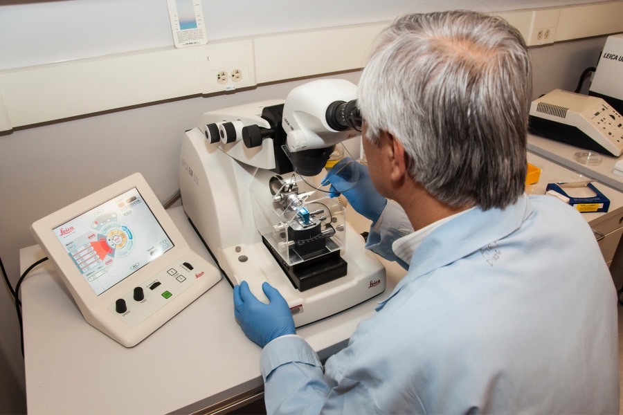 生物质科学与工程专业介绍_本科_农学