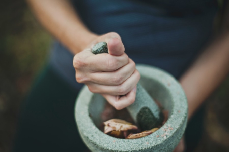维药学专业介绍_专科_医药卫生大类