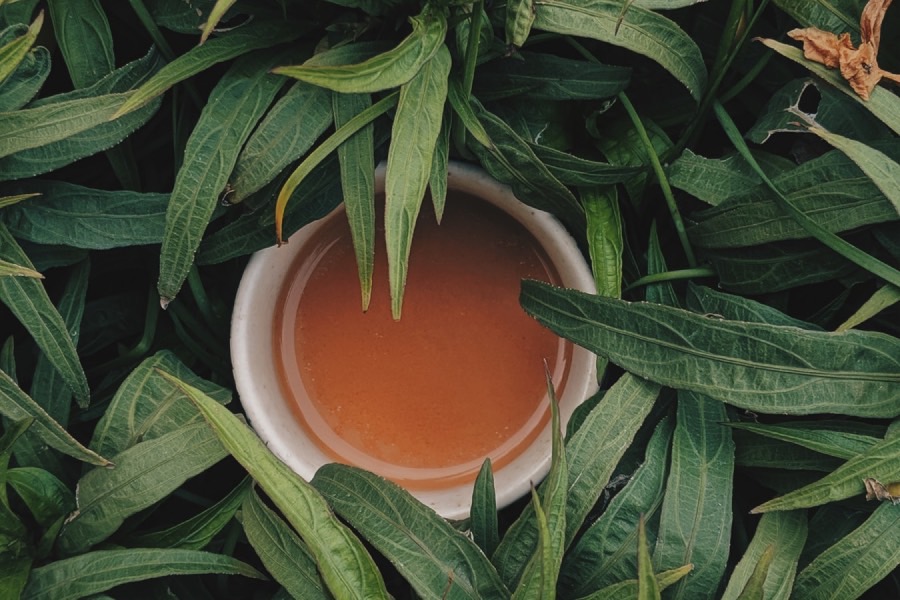 专业标志