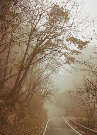 西游记 第四十回：鹰城阴沉寥寥秋日过东京，人牲人殉煌煌文明肇血腥
