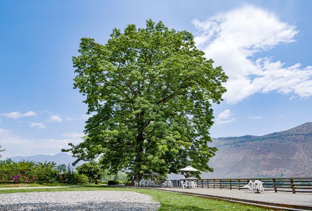 保山世外乡村高黎贡勐赫小镇景点介绍