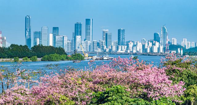 花海长廊