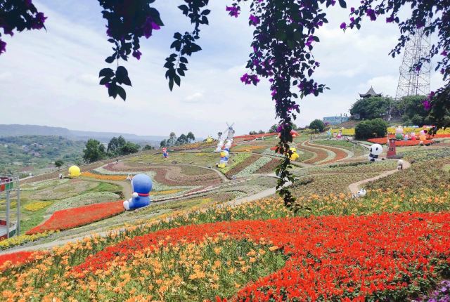 彩山四季花海