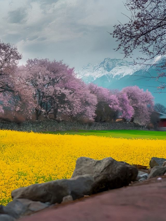 林芝桃花园