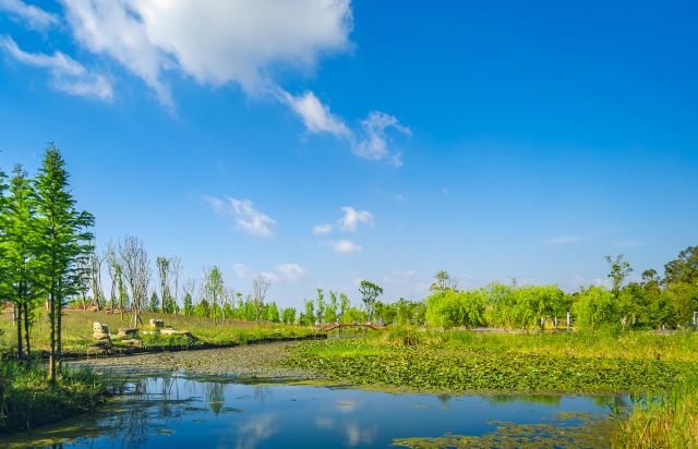 昆明南滇池国家湿地公园景点介绍