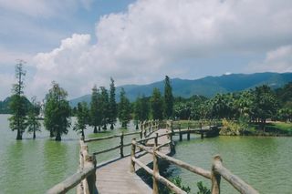 秋游肇庆，带娃去看南方最大的丹顶鹤生态园｜邂逅朗誉酒店