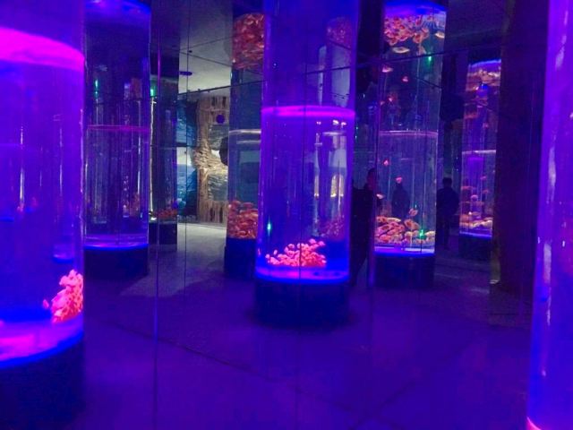 镜湖湿地海洋世界