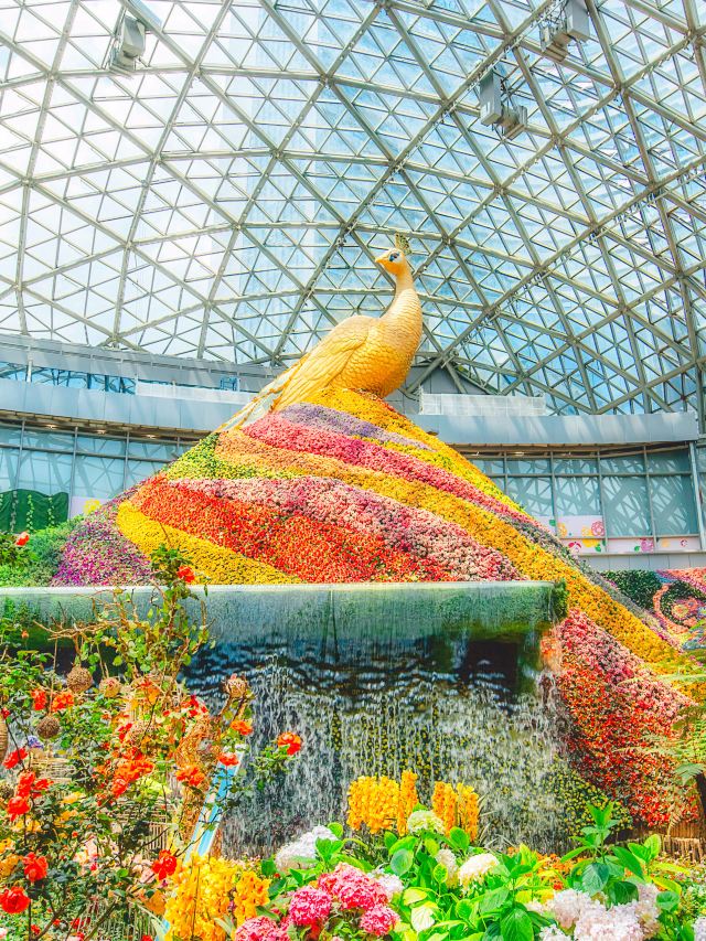 昆明花之城景点介绍