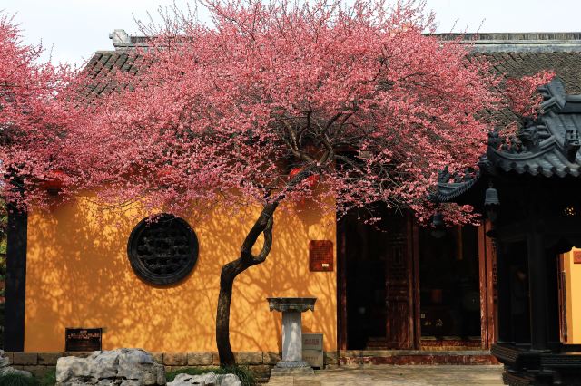 铁佛寺