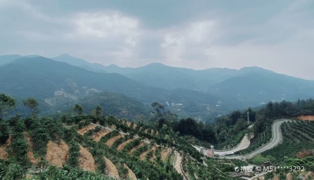 凤凰山乌岽顶