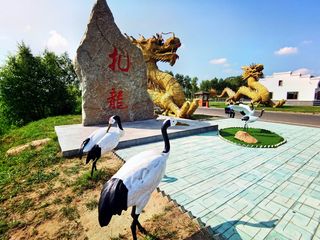 云游四海（1523）黑蒙行之二十三——扎龙自然保护区