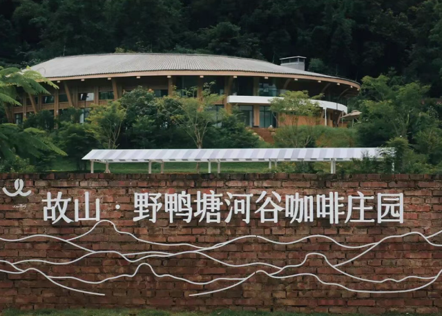 普洱普洱故山·野鸭塘河谷咖啡庄园景点介绍