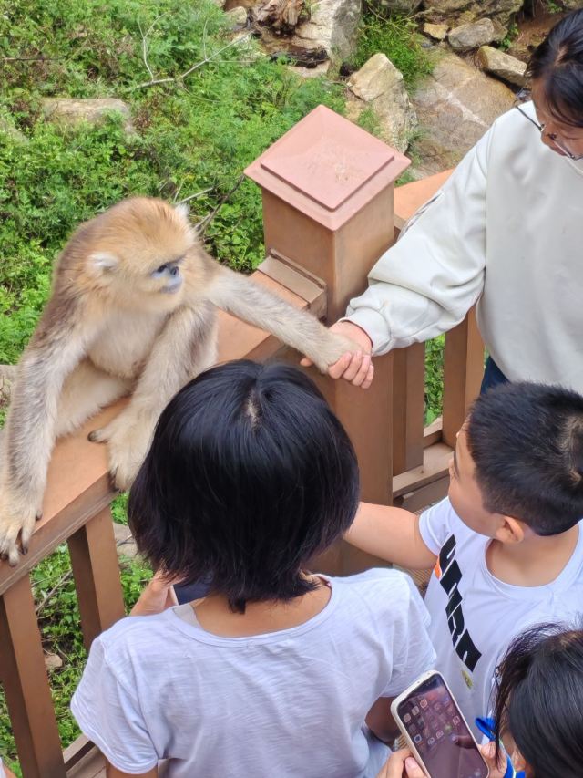 裕和金丝猴景区