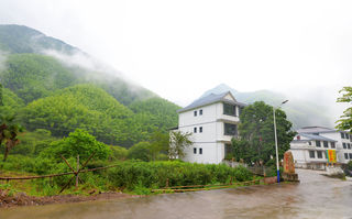 【铅山河红茶】江西铅山拍了拍你，北武夷山是避暑、喝茶的好去处
