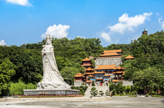 最印象南沙，盛夏邂逅广州“南极”的美丽