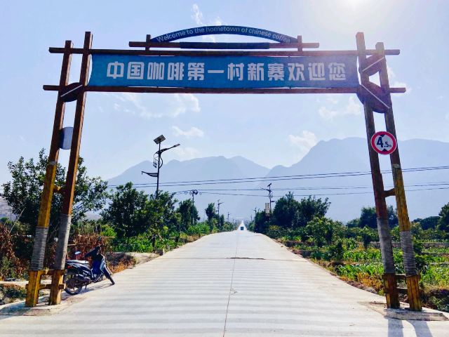 保山新寨万亩咖啡园景区景点介绍