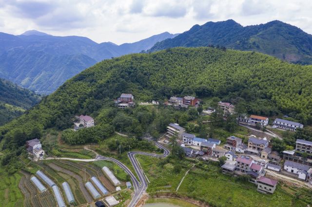 董岭村
