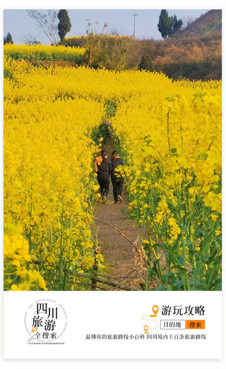 成都自驾2h有个四川“小天坛”？赏超大片花海、自助草莓采摘、野炊，全家出游就选这里