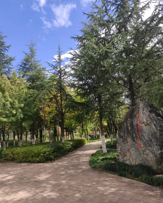 昆明草海隧道公园景点介绍
