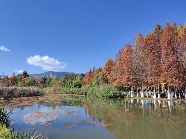 昆明海洪湿地景点介绍