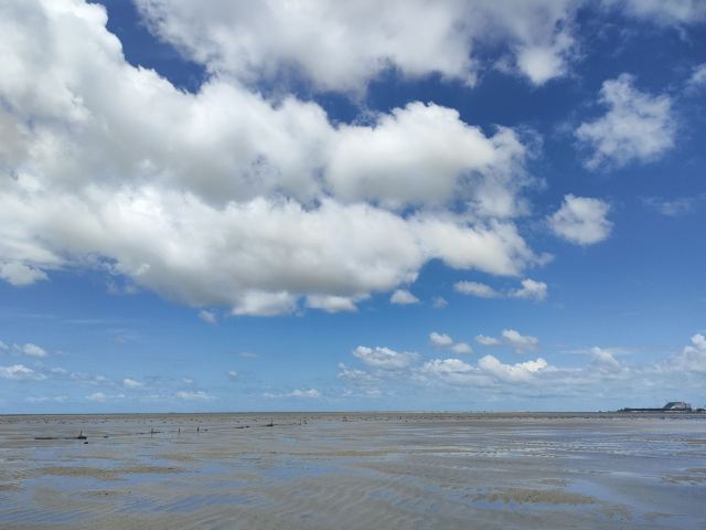 红树林赶海服务中心
