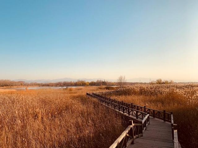 普洱云南普洱五湖国家湿地公园-野鸭湖景点介绍