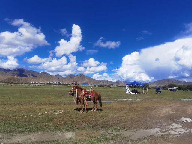 江萨国家湿地公园