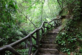 隐居山林中，金秀峻岭觅瑰宝