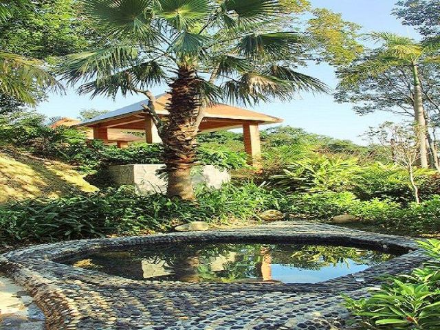 罗浮山嘉宝田218线森林温泉谷