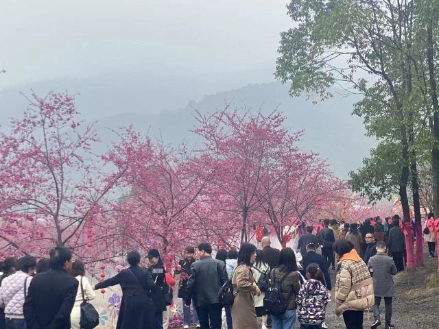 佐家寨生态乐园