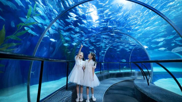 上海海洋水族馆