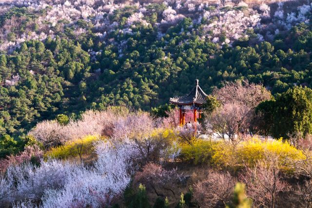 北京西山国家森林公园