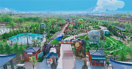 天鹅湖伊河动物园