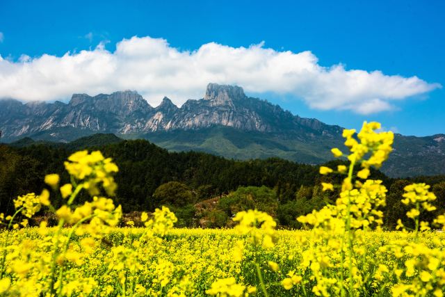灵山风景区