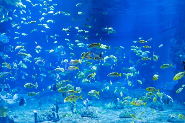 兰州极地海洋世界