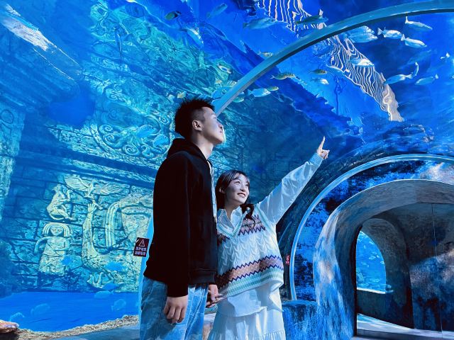 宁夏幻太奇海洋公园