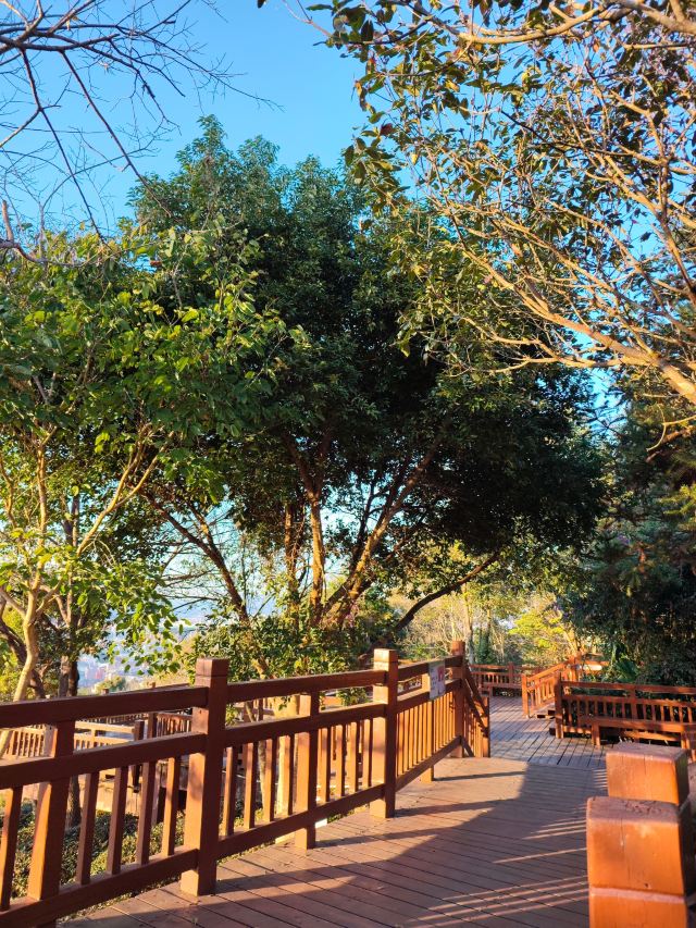 普洱普洱市梅子湖公园观景台景点介绍