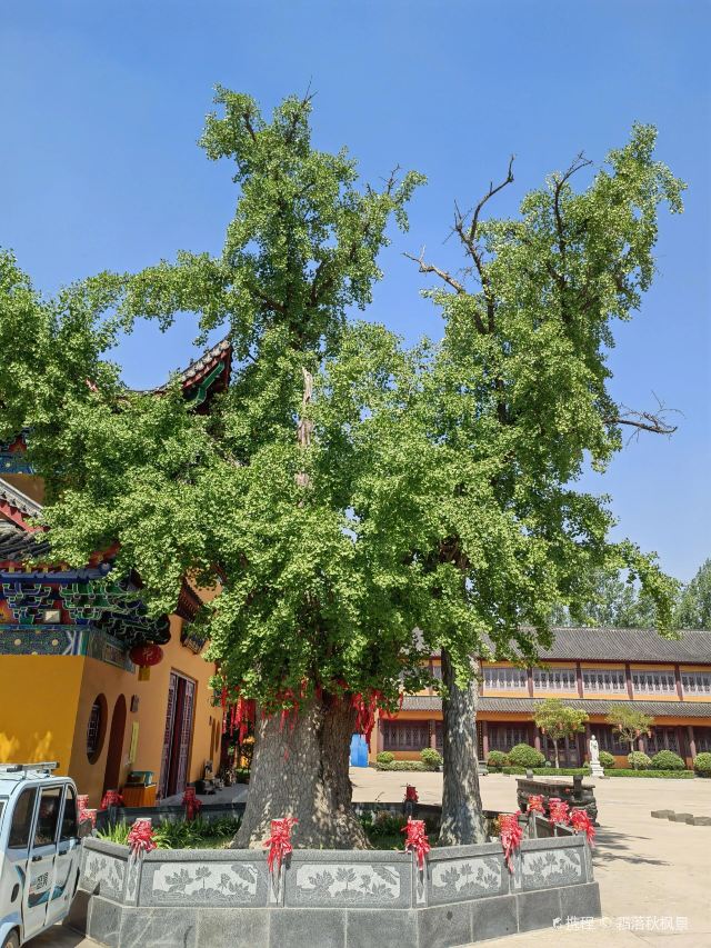 甘露寺