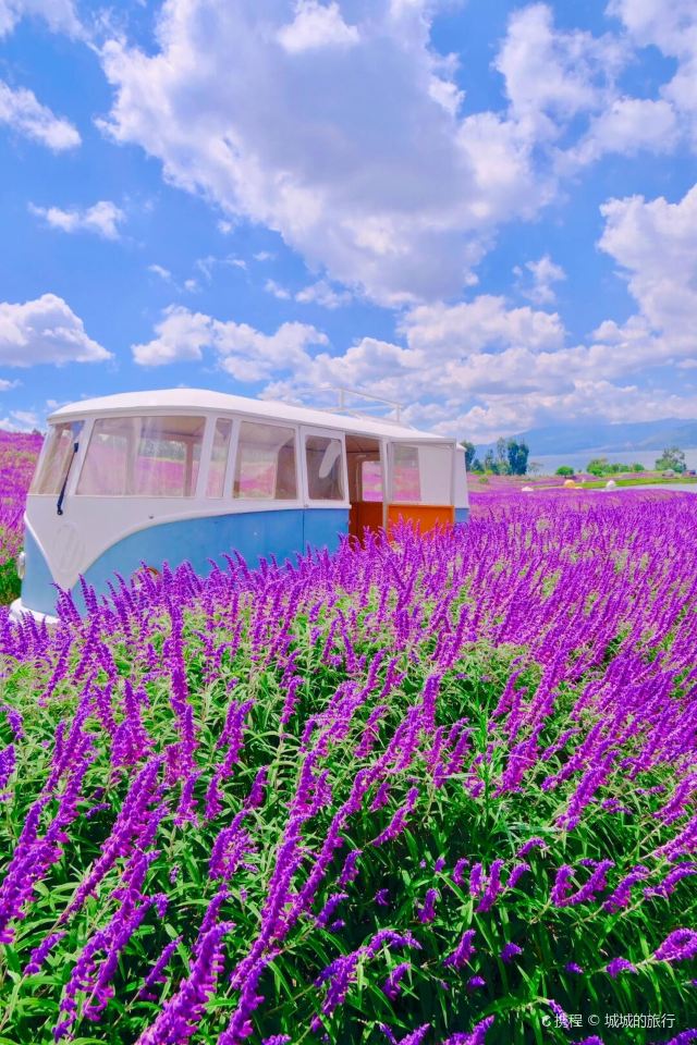 昆明石林天外天云海花田景点介绍