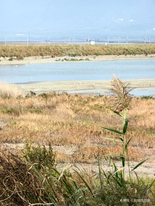 运城盐湖生态湿地公园