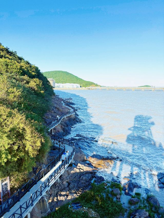 九龙山国家森林公园
