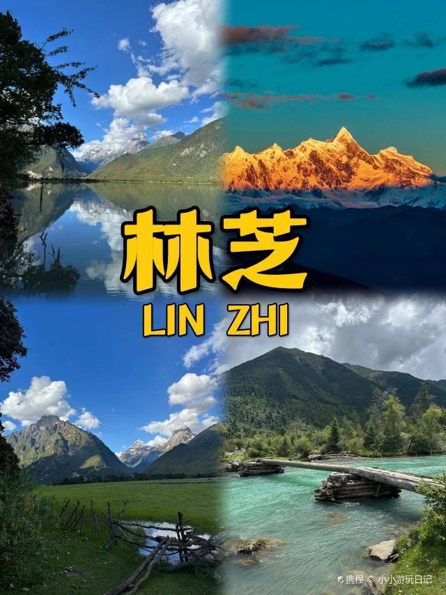 林芝自然博物馆