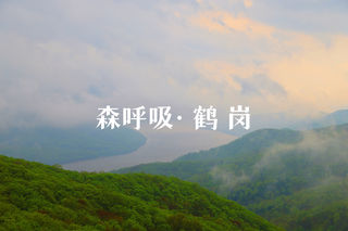 森呼吸的大美【鹤岗】3天两晚攻略在这啦！