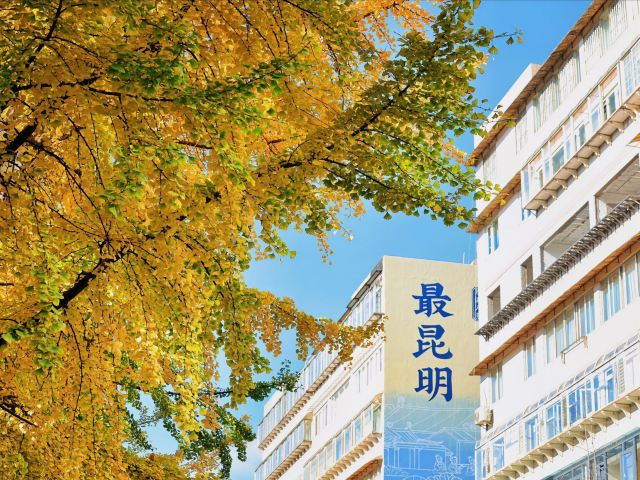 昆明文林街景点介绍