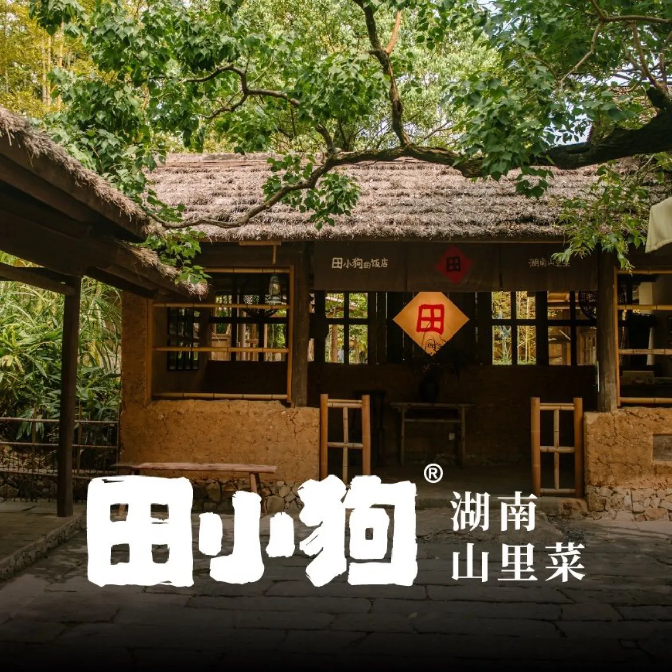 田小狗的饭店(宜春梅花村店)