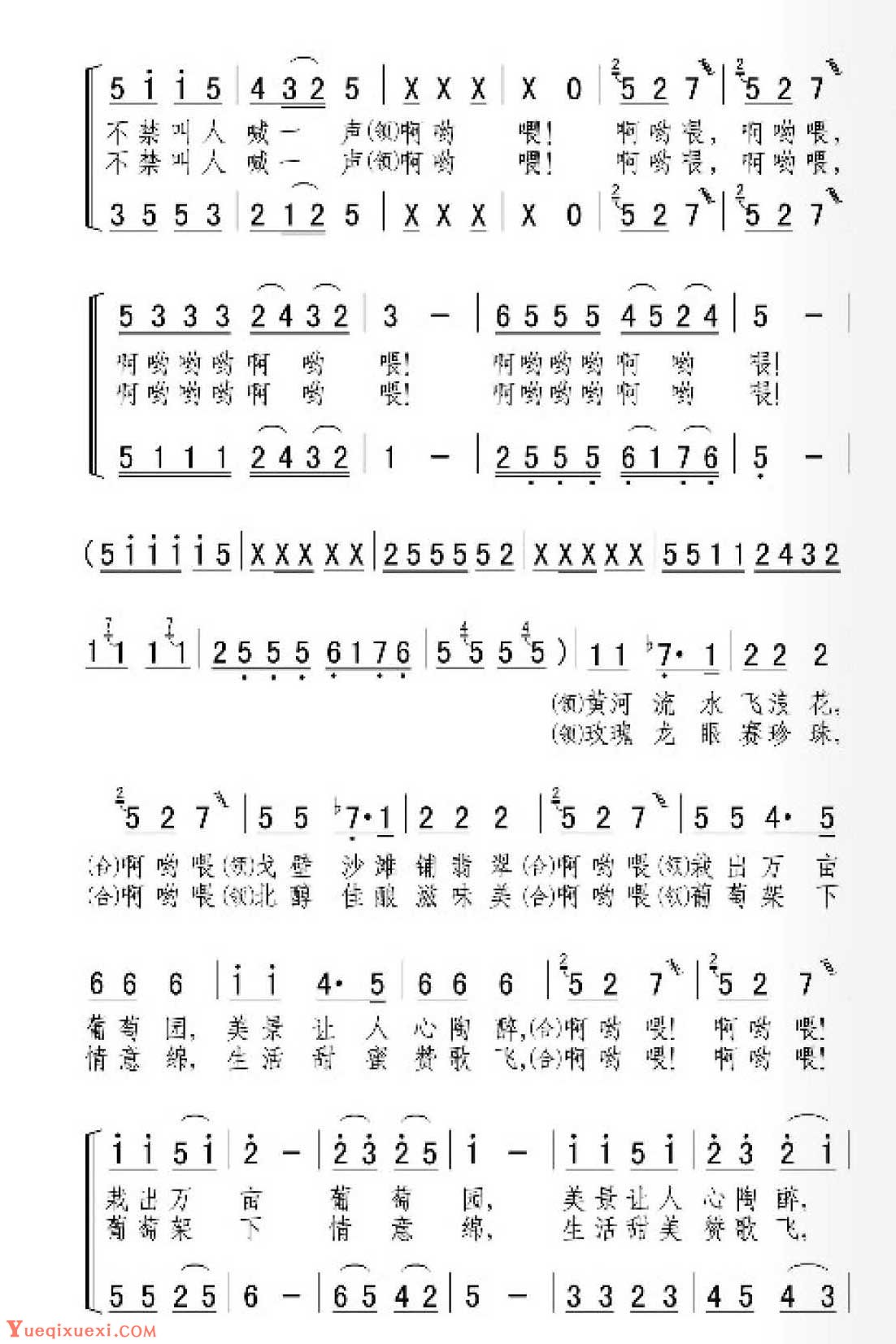 描写宁夏的歌曲《沙窝的葡萄啊哟喂》女声表演唱