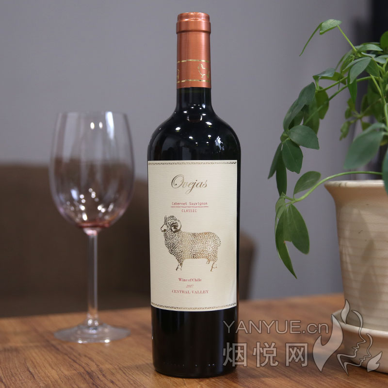 金羊经典赤霞珠红葡萄酒 13.5°  750ml