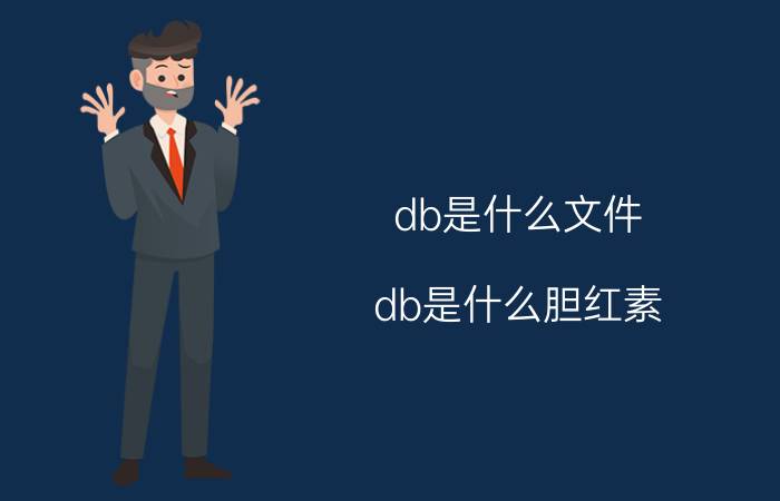 db是什么文件(db是什么胆红素)