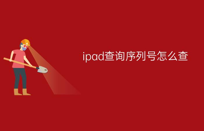 ipad查询序列号怎么查